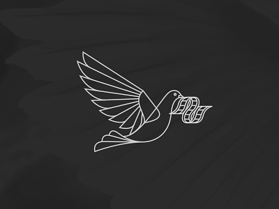 Dove + Film bird birds branding dove film logo