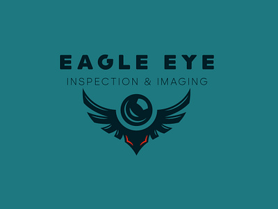 Eagle Eye Inspections And Imaging branding drone home imaging inspection logo
