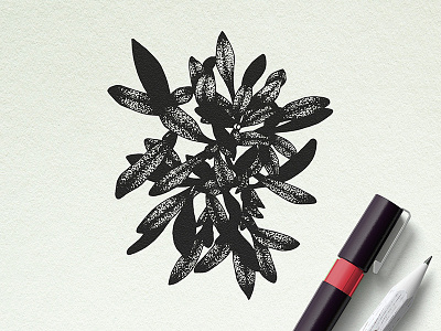 Hand Drawn Illustration composition dot element feminine floral hand drawn handdrawn leaf nature plant
