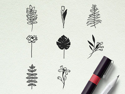 Hand Drawn Floral Illustration