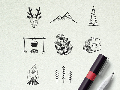 Hand Drawn Nature Illustrations