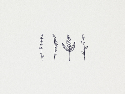 Four Branches clipart design feminine floral hand drawn handdrawn illustration leaf line art logo minimalism minimalistic nature tattoo