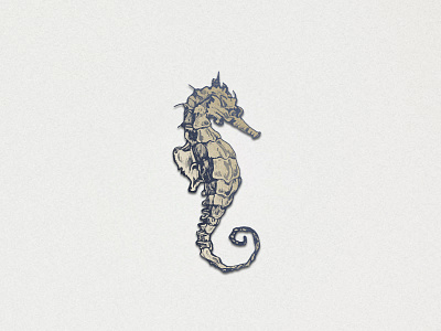 Hand Drawn Seahorse animal branding clipart design hand drawn handdrawn identity illustration logo minimalistic nature ocean sea tattoo