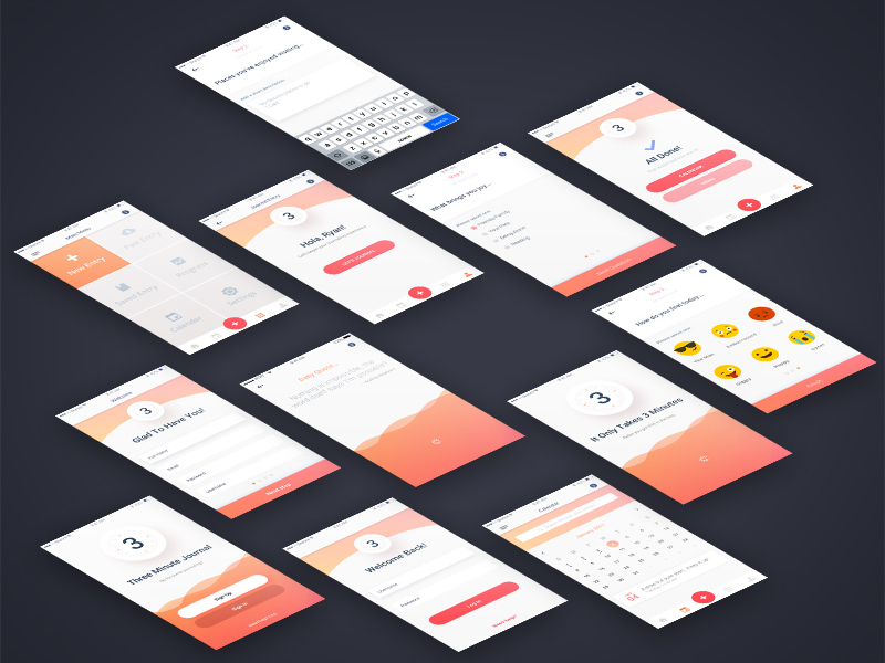 3 Minute Journal App Screens by Ryan Palmer for andculture on Dribbble