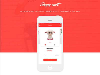 E-commerce Product Details screen app arvind dailyui design ecommerce ios product details screen shopping simple clean design ui ux