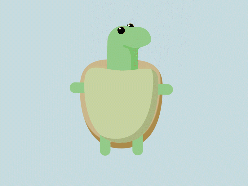 Yo! Here's A Turtle! 2.5d after effects animation duik bassel illustrators turtle vector