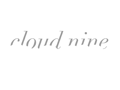 Cloud Nine. Divine Wedding Photography branding identity logo wedding photographers