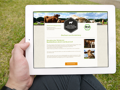 Ökologischer Rinderzuchtbetrieb bio cow ecological meat website