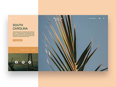 Daily UI #003 - Landing Page clean design experience landing photography ui user ux visual web website weekly