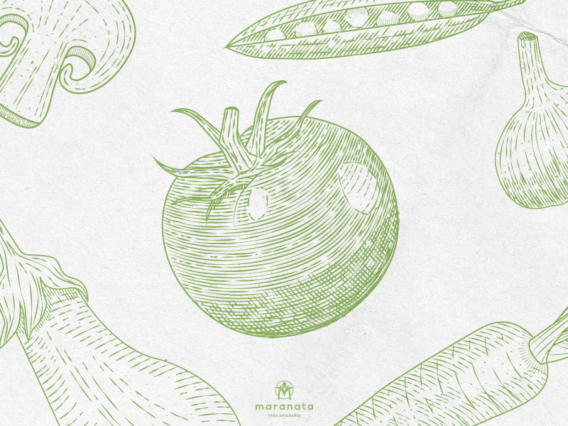 Maranata - Vida Saludable digital brand vector design logo graphicdesign illustration identity logotype branding