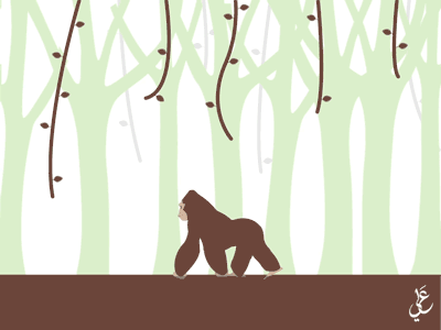 Animation King Kong animation duik forest gorilla illustration motion