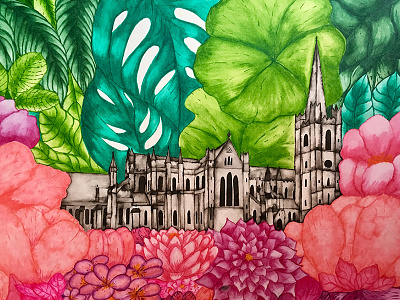 Bloom botanic gardens flower illustration ink st patricks cathedral watercolor