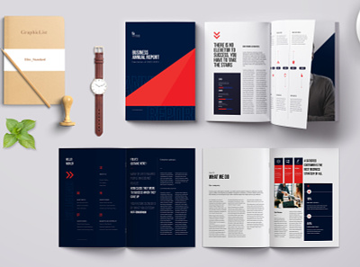 Annual Report annual report bifold brochure booklet branding brochure business corporate design