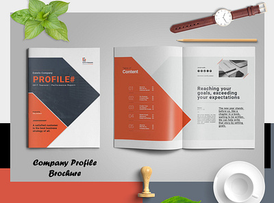 Company Profile Brochure annual report annual report brochure bifold brochure booklet brand branding brochure business corporate design indesign