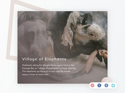 Social Share -  Daily UI Day #010 🐘