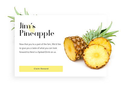 Pop-Up / Overlay -  Daily UI Day #016 🍍