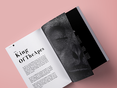 King of The Apes - F U M I K I R U. artist highlight bold design editorial feature well article fumikiru japanese kensei magazine minimal typography visual design