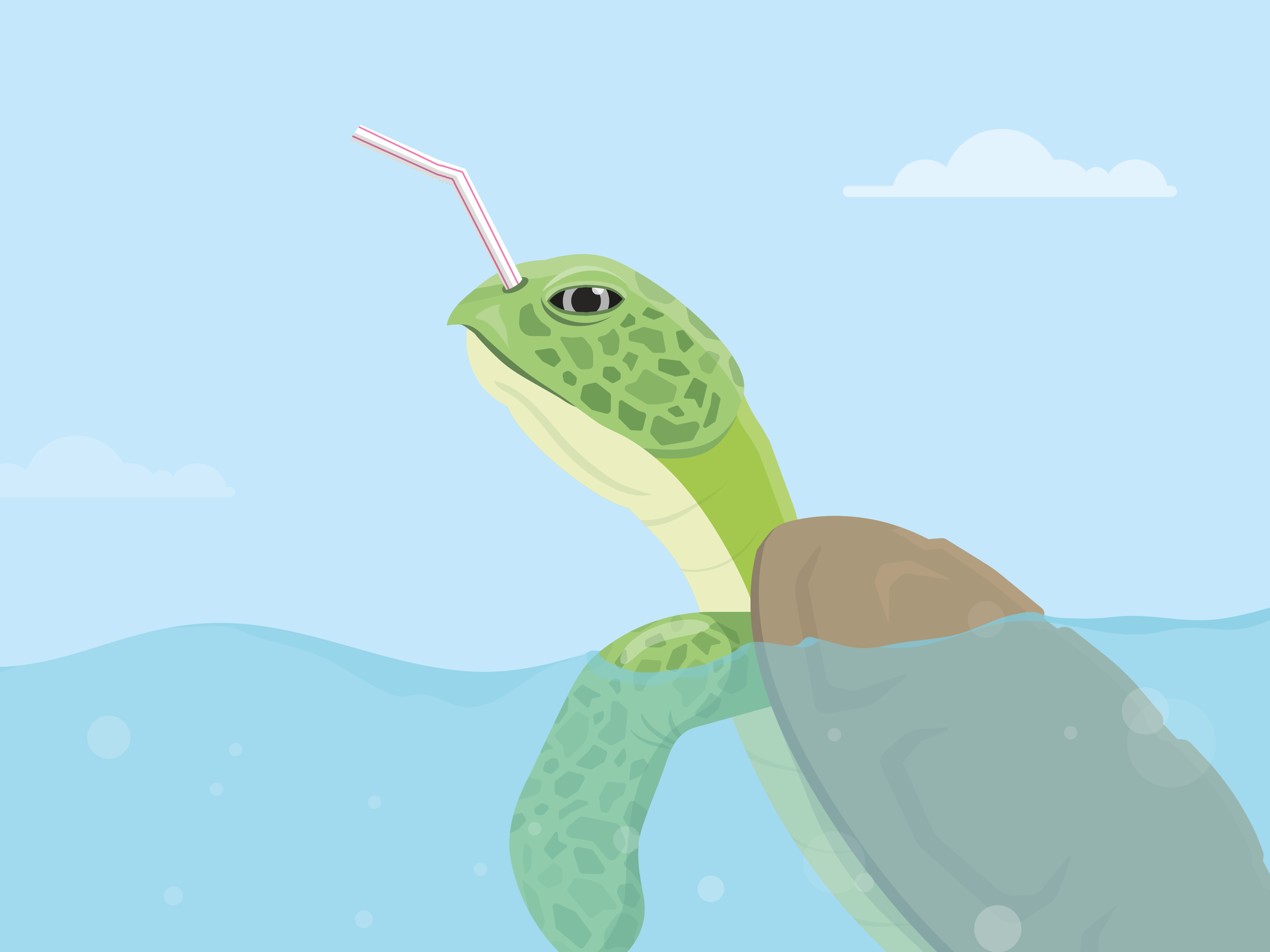 Straws Hd Transparent, Straw Turtle In The Ocean, Turtle, Ocean, Straw PNG  Image For Free Download