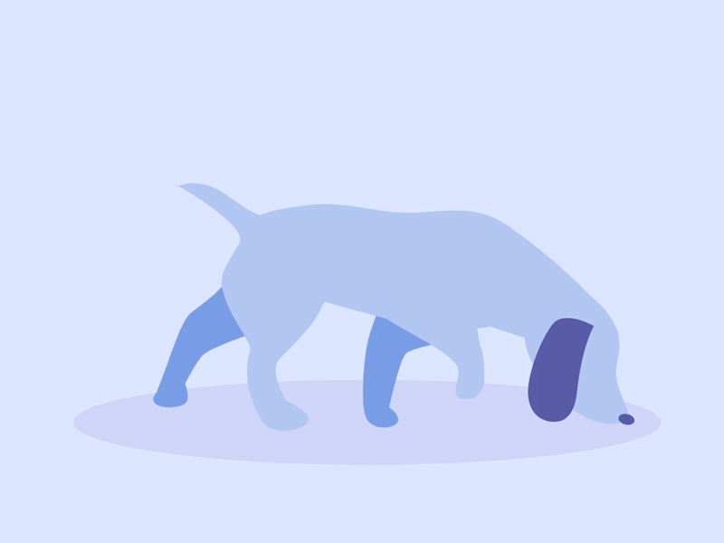 Searching animation dog puppy sniff walk cycle