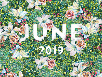 June color pencils flower flower illustration flowers greenery june lillies lily poster prismacolor rose roses succulent succulents traditional type