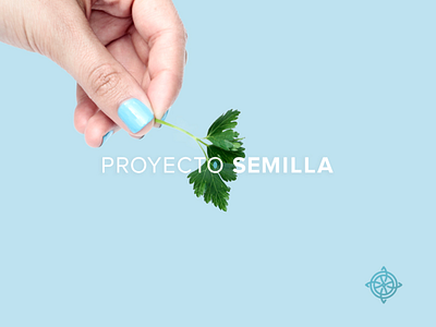 Proyecto Semilla branding food healthy