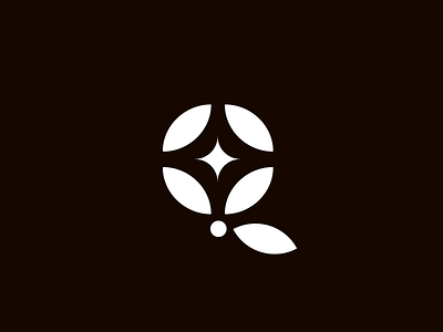 Q blackandwhite design icon isotype letterq logo logodesign shine type typography vector