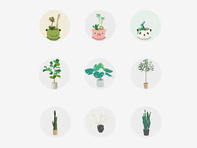 100days challenge day1-9_plants