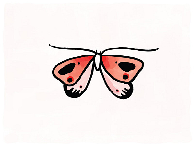 Moth digital illustration illustration