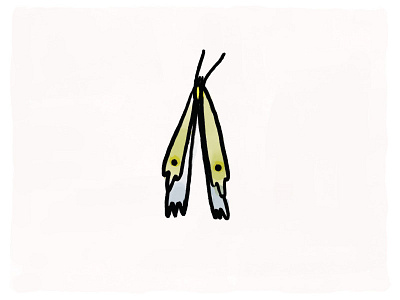 Tall Moth digital illustration illustration texture water color