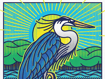 Great Blue Heron audubon bird conservation heron marsh nature nps parks preserve