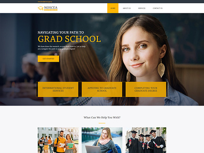 Noscea Education Consulting Website responsive design web design web development