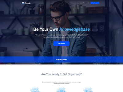 Mobega Website responsive design web design web development