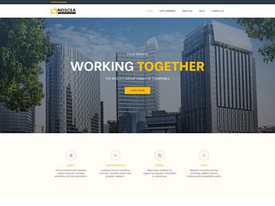 Noscea Group Website responsive design web design web development