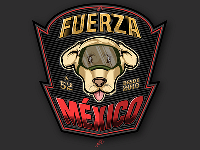 Fuerza Designs Themes Templates And Downloadable Graphic Elements On Dribbble