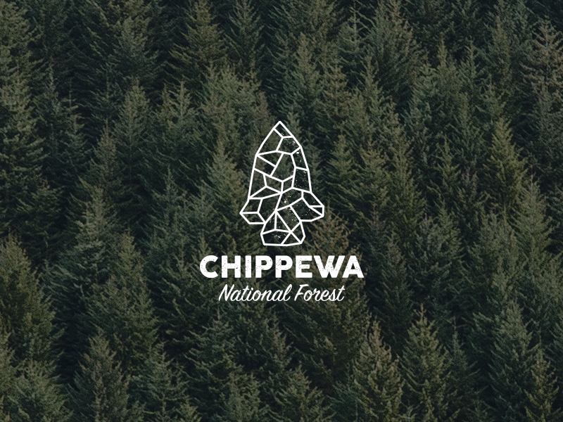 Chippewa National Forest lockup concept arrowhead chippewa design forest logo minnesota