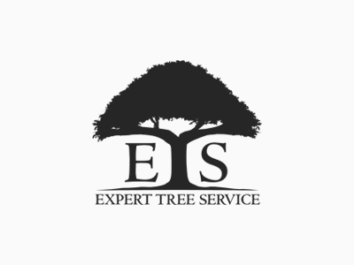 Expert Tree Service logo logo design tree logo tree service logo