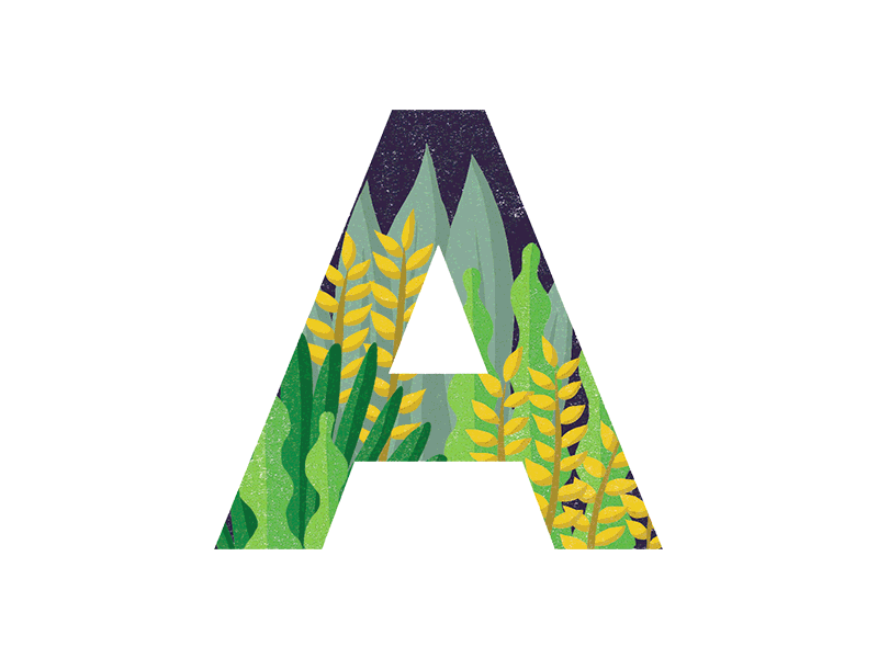 Adventure Typeface adventure colourful creative typography foliage handmade leaves lettering letters type typeface typography