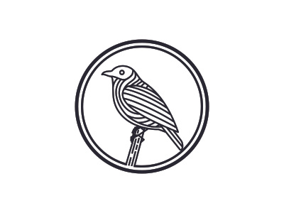 bird logo design bird design logo