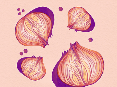 Onions in Purple art direction design graphic design illustration instagram stickers vector
