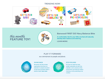 Toy of the Month branding design facebook ad instagram ad shopify shopify store