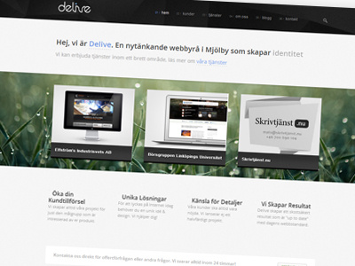 Delive Web Agency agency business delive web website