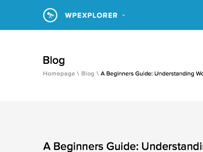 WPExplorer - Header