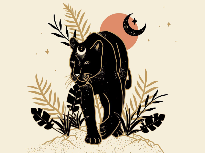 Panther By Daphna Sebbane On Dribbble