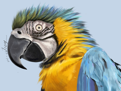 parrot ps