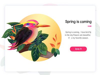 bird for Spring