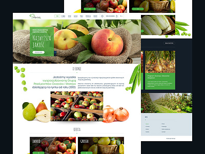 Wilga Fruit - homepage cc design fruit grid homepage layout mariuszkunc owoce photoshop ui ui design ux web webdesign