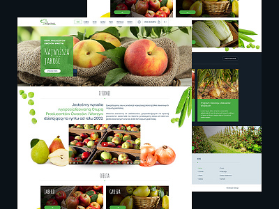 Wilga Fruit - homepage