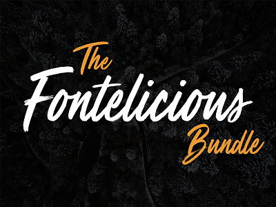 The Fontelicious Bundle – 31 High-Quality Fonts brush font commercial fonts designer fonts fonts handwritten fonts script font typeface typography