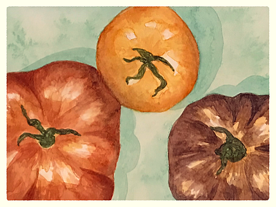 tomatoes food illustration painting still life tomato vegetables watercolor watercolor illustration watercolor painting