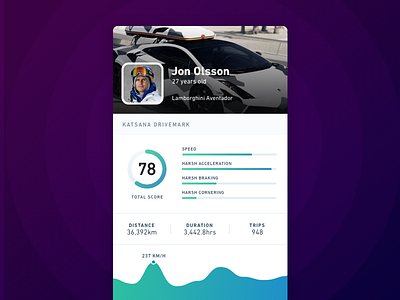 Katsana Drivemark™ Profile